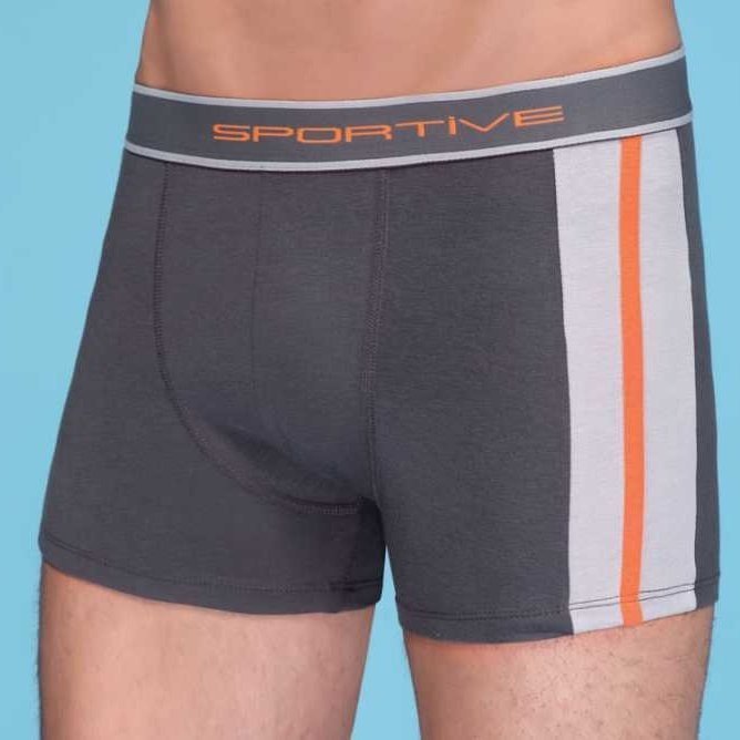 Berrak 1080 Erkek Modal Boxer FÜME - S