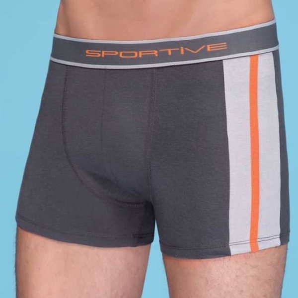 Berrak 1080 Erkek Modal Boxer FÜME - S
