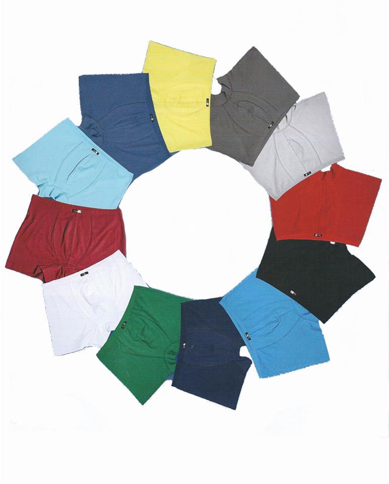 4488 Berrak Erkek Modal Boxer TURKUAZ - XL