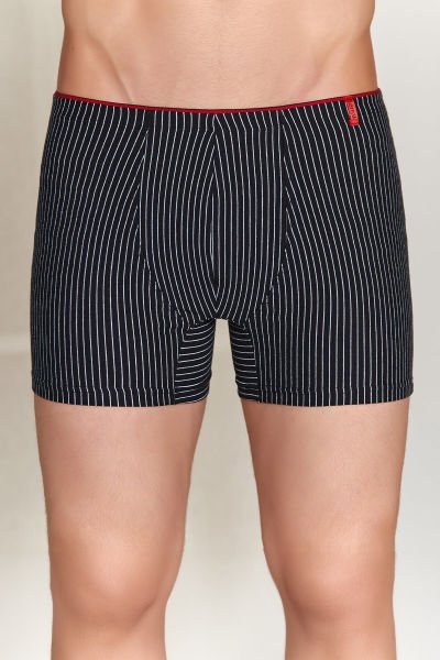 BERRAK 4433 ERKEK ÇİZGİLİ BAKSTIR