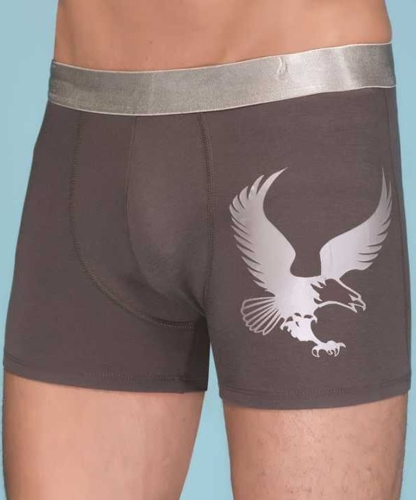 Berrak 1091 Erkek Modal Eagle Boxer XL - SİYAH